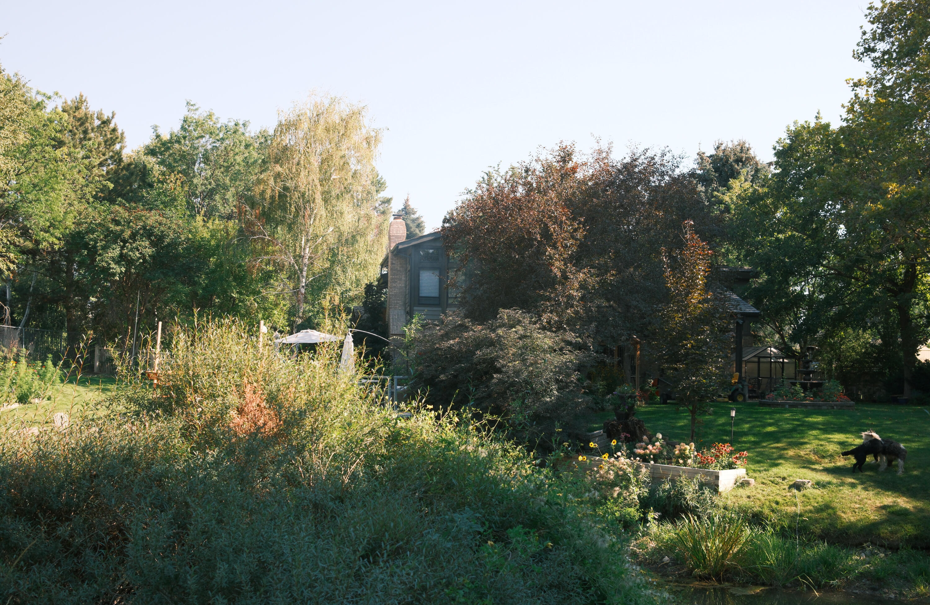 A wild and abundant cottage garden in late summer, the inspiration behind Meadow Lane Tiles "In the Garden collection"